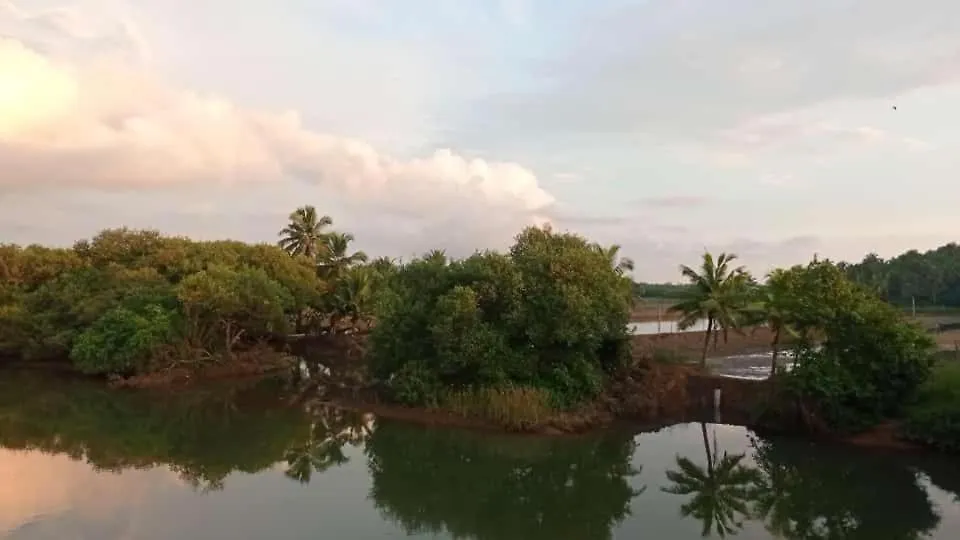 Shruthi'S Aarohi-Nature'S Retreat Homestay Kannur