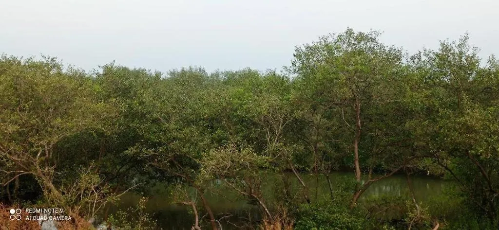 Shruthi'S Aarohi-Nature'S Retreat Homestay Kannur India