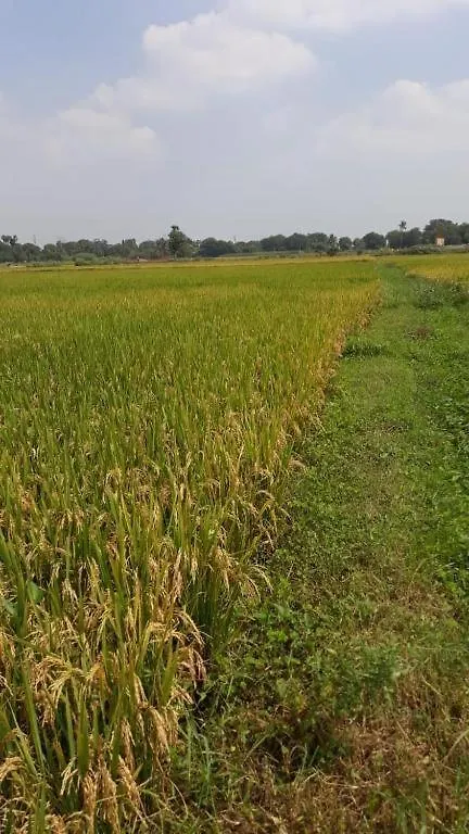 Shruthi'S Aarohi-Nature'S Retreat Homestay Kannur